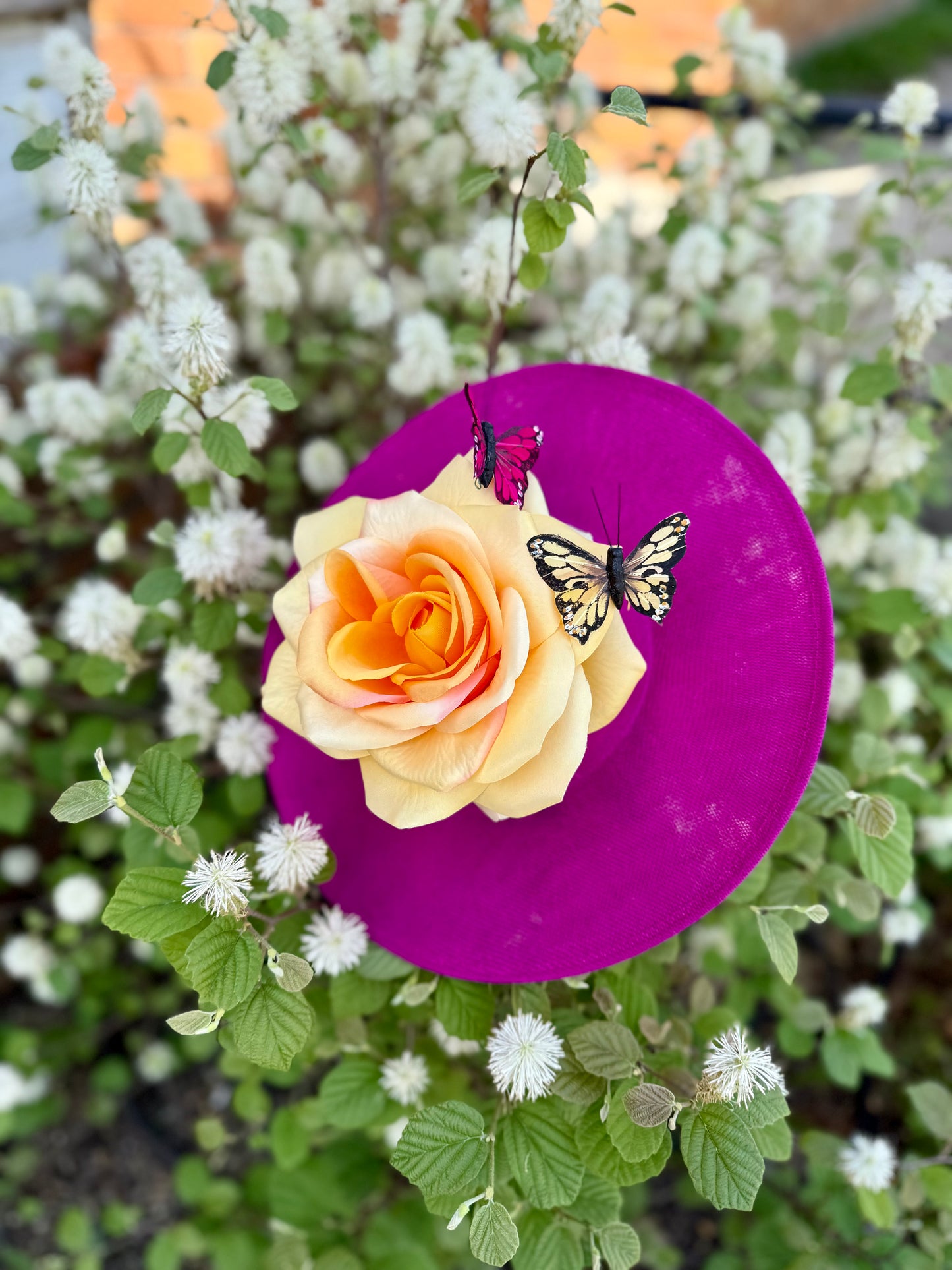 Magenta Rose